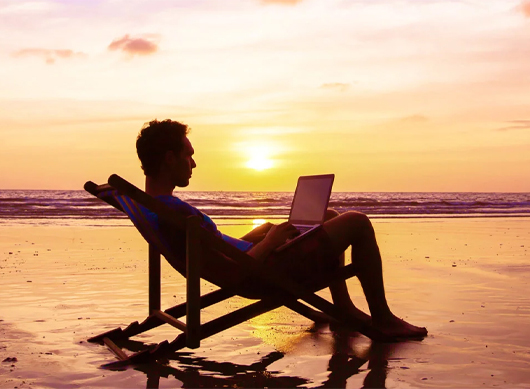 Workcations and Other Segments