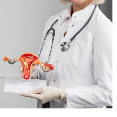 What does a gynaecologist do